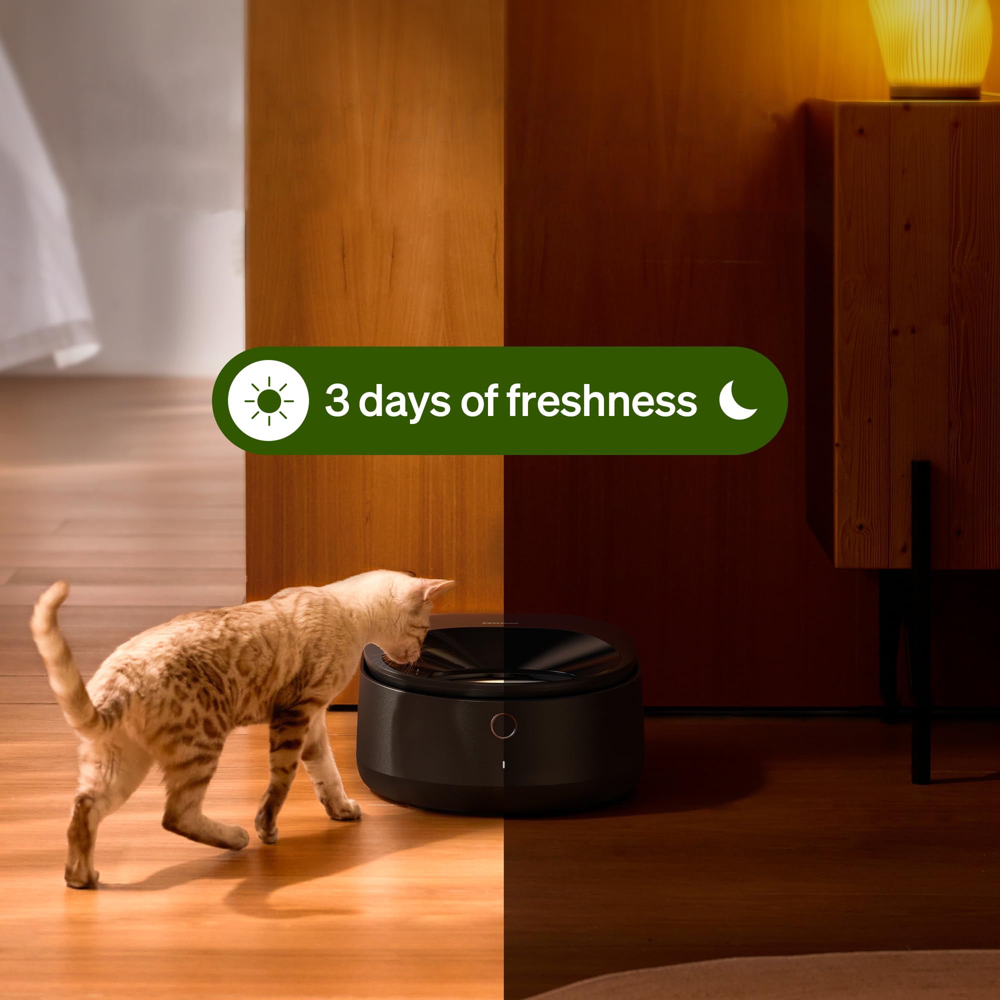 Automatic Wet Food Cat Feeder with Cooling System App Control Stainless Steel Bowl