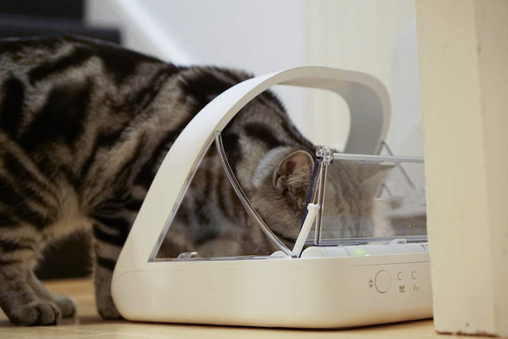 Microchip Automatic Pet Feeder for Cats and Dogs Wet Dry Food Dispenser
