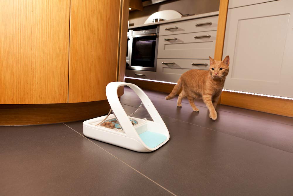 Microchip Automatic Pet Feeder for Cats and Dogs Wet Dry Food Dispenser